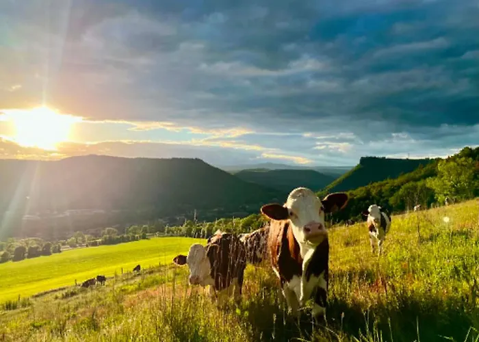La Ferme De Vazerat
